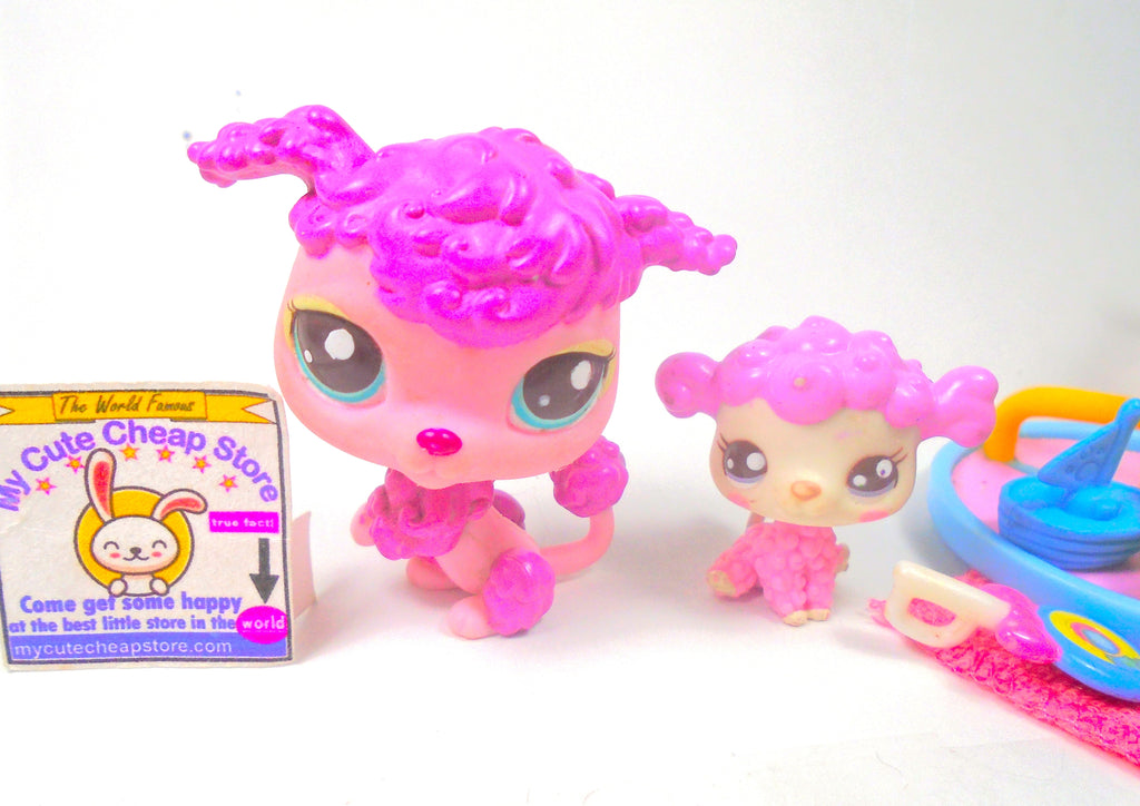 Littlest Pet Shop Angora cat #55 with cute accessories